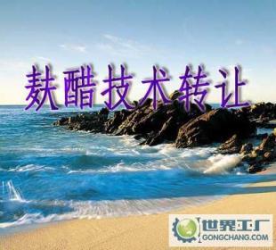 麩醋配方轉讓與生產技術轉讓，工廠交匙工程及認證咨詢服務